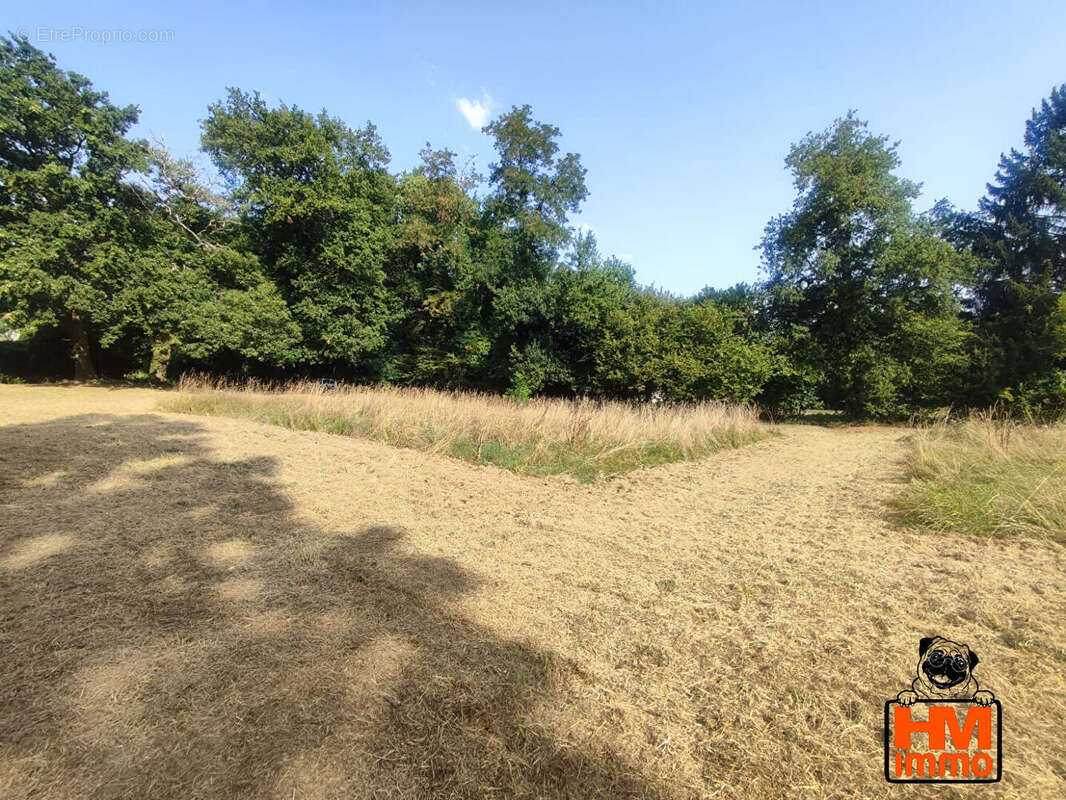 Terrain 3644 m² à Le Vigen  - photo 3