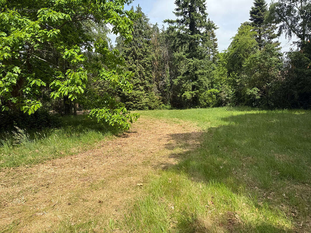 Terrain à CHEVREUSE