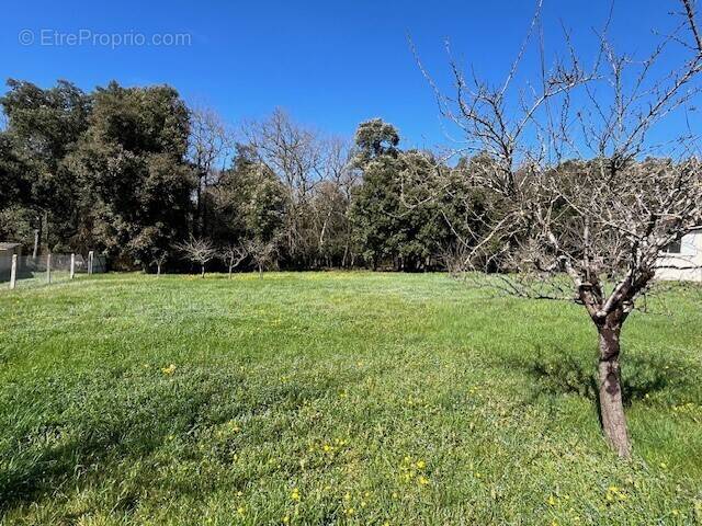 Terrain à ANGOULEME