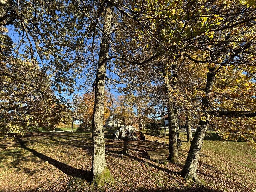 Terrain à CRUSEILLES