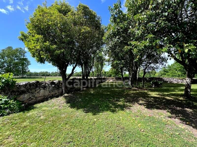 Maison à SAINT-CLAR