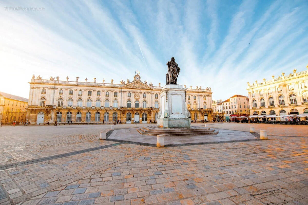 Commerce à NANCY