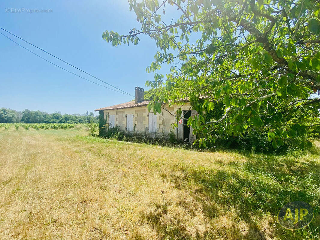 Maison à COUQUEQUES