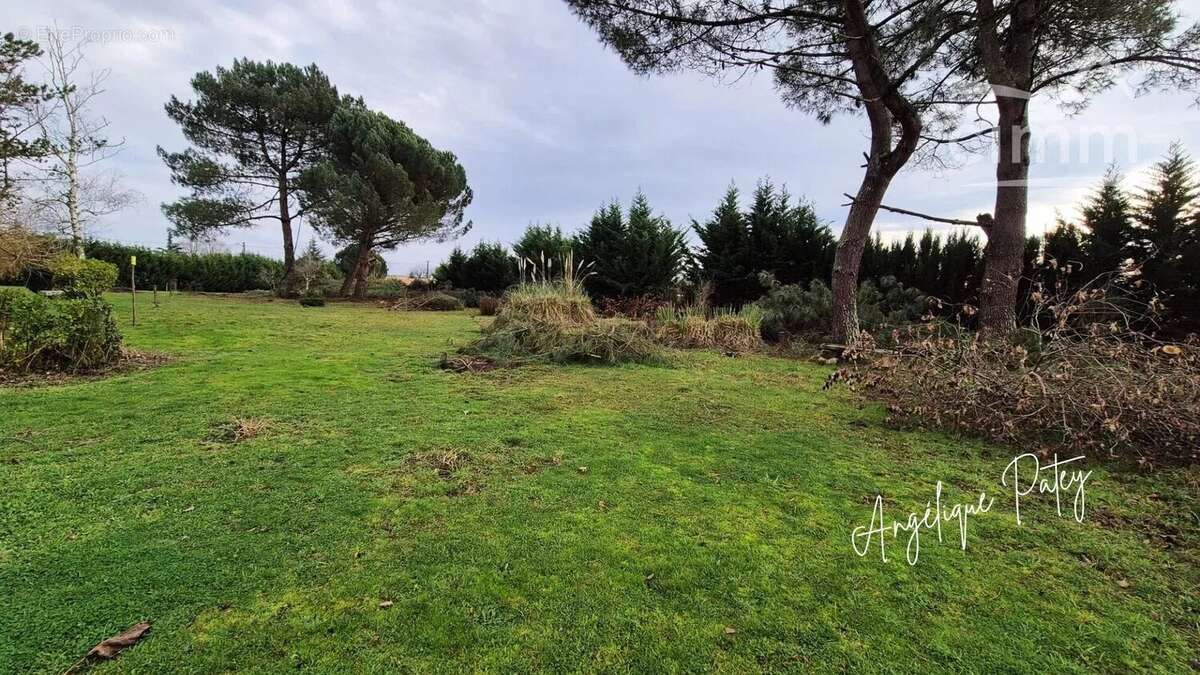 Terrain à CARTELEGUE
