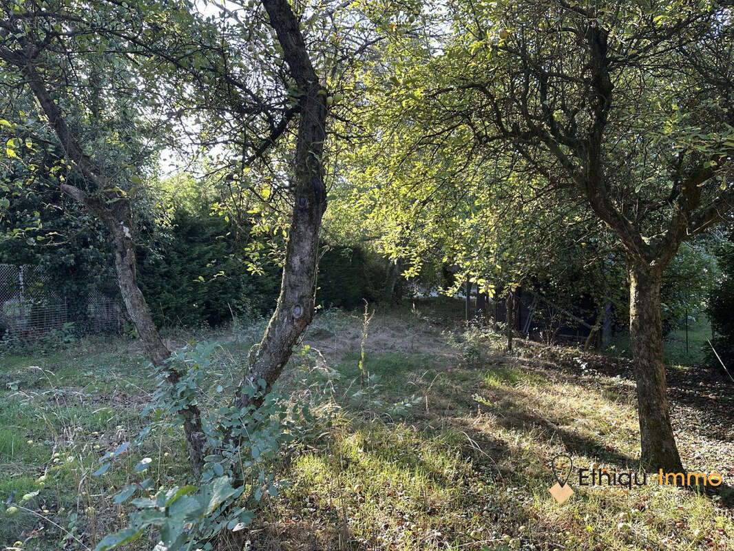 Terrain à NEUGARTHEIM-ITTLENHEIM