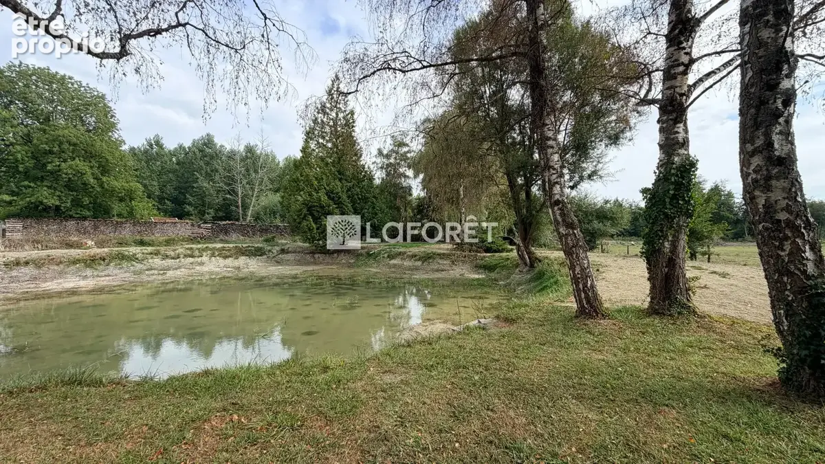 Maison avec plan d'eau Ville Sur Tourbe 7 pièces 174 m2 - photo 2