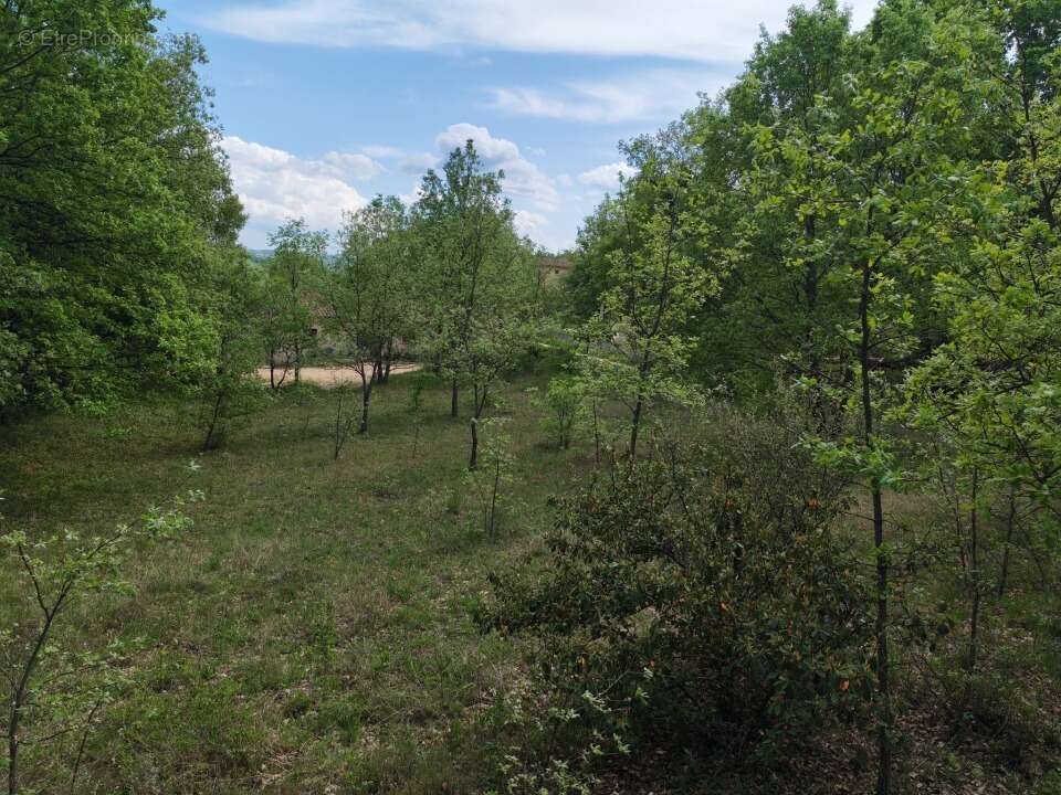Terrain à QUINSON