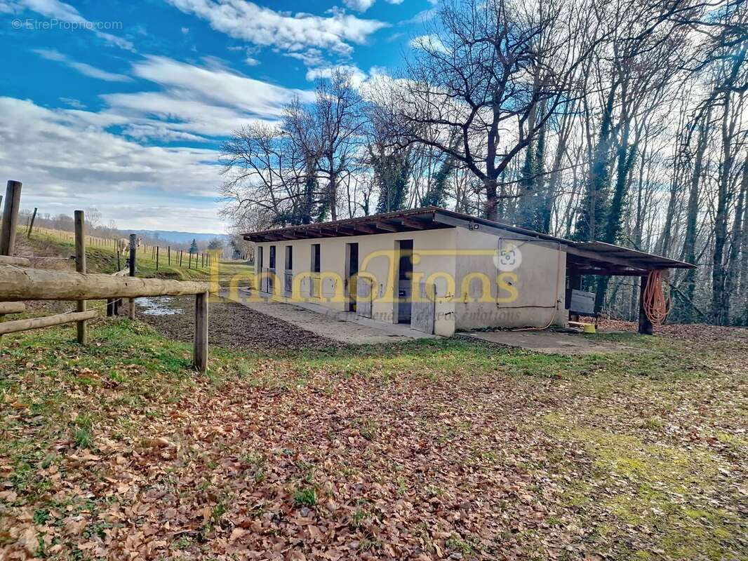 Domaine avec vue panoramique, piscine, hébergements et environnement idéal pour chevaux et nature - photo 17