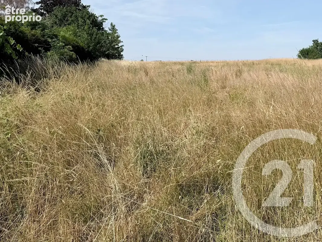 Terrain 945 m² à vendre à Maison-Rouge (77370) - photo 9
