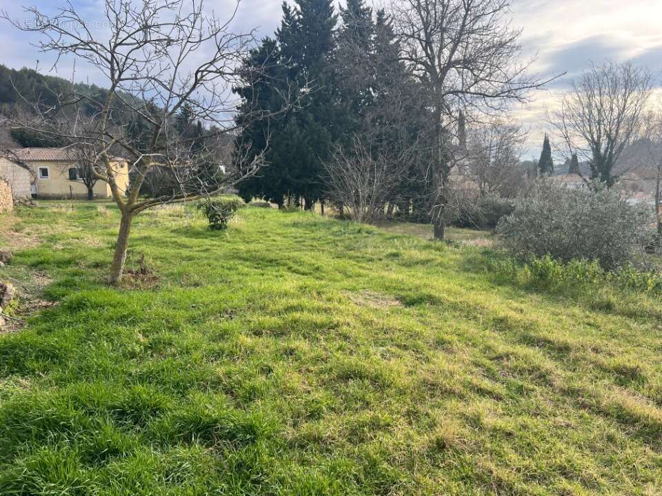 Terrain à SAINT-CHAMAS