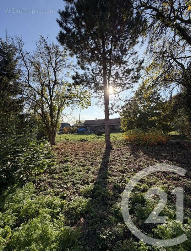 Terrain à PERONNE