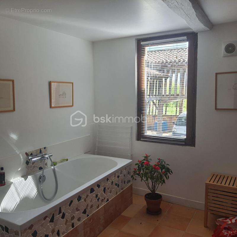 Proche Eauze - Propriété viticole de 25ha - photo 8
