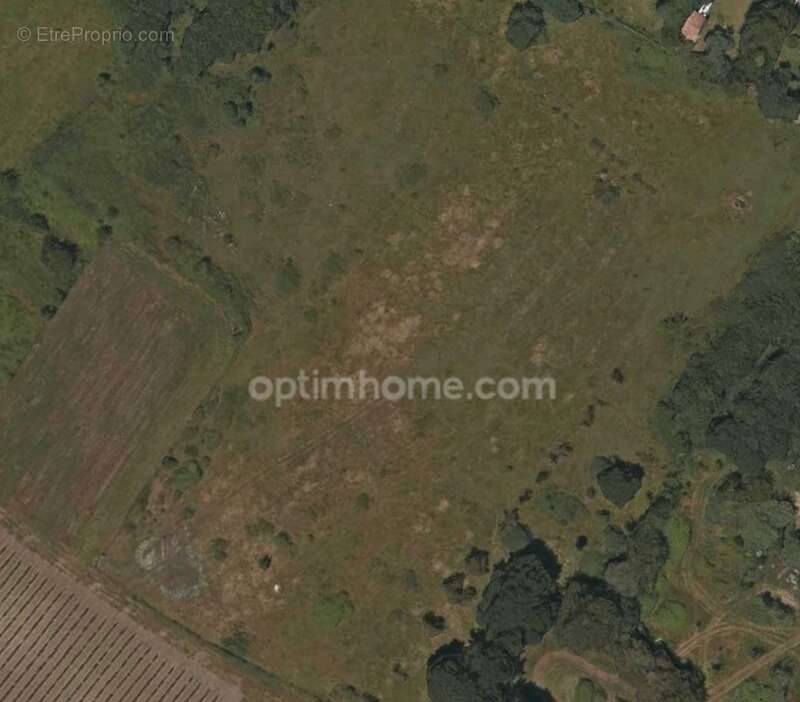 Terrain à SAINT-DENIS-D'OLERON