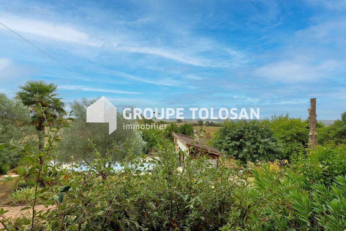 Maison à MONTRABE