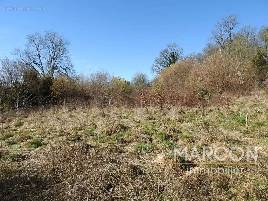 Maison à SAINT-SULPICE-LES-CHAMPS