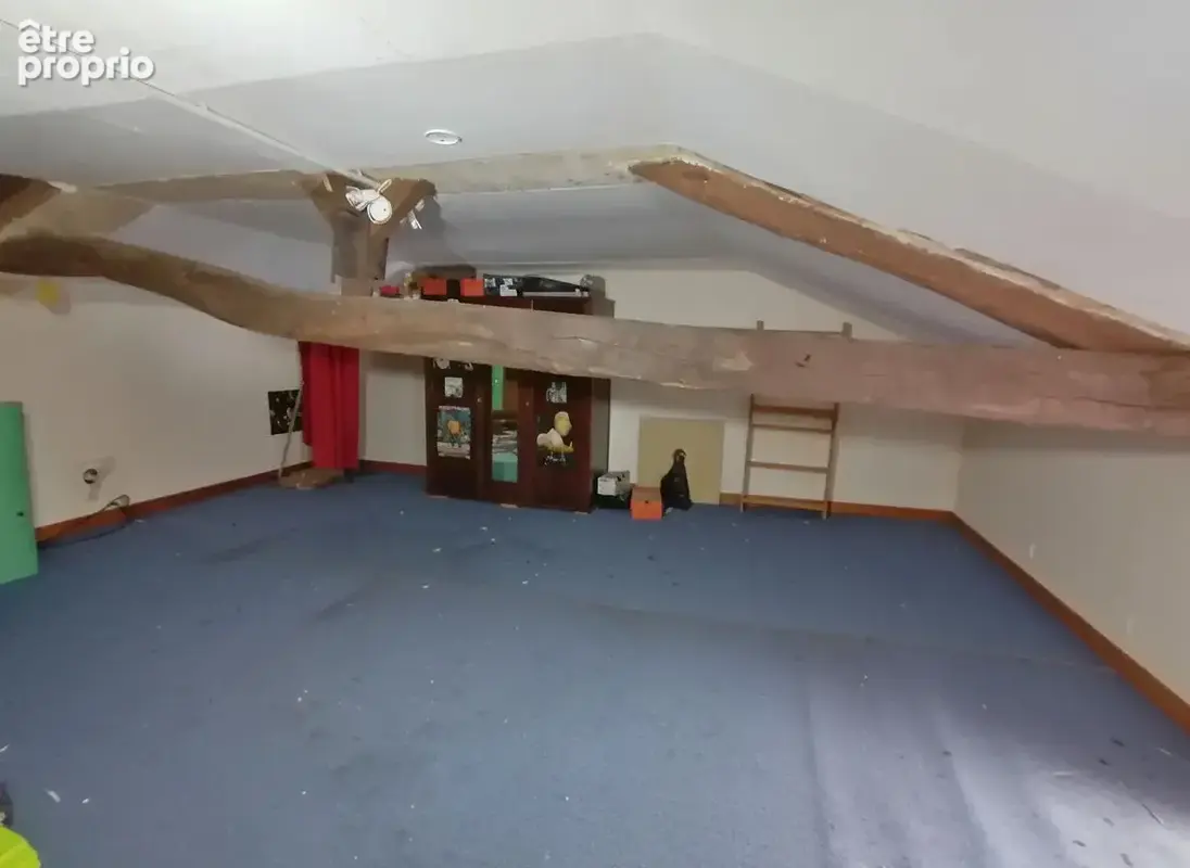 Une véritable opportunité pour les amoureux de la rénovation! - photo 5