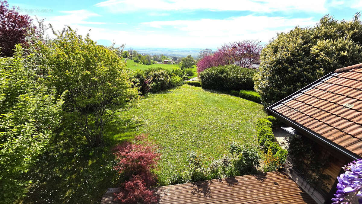 Maison 176 m² à Ballaison  - photo 3