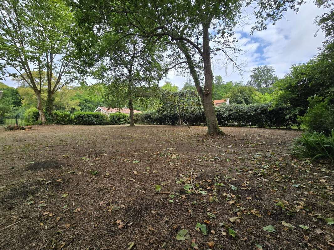 Terrain à MESSANGES