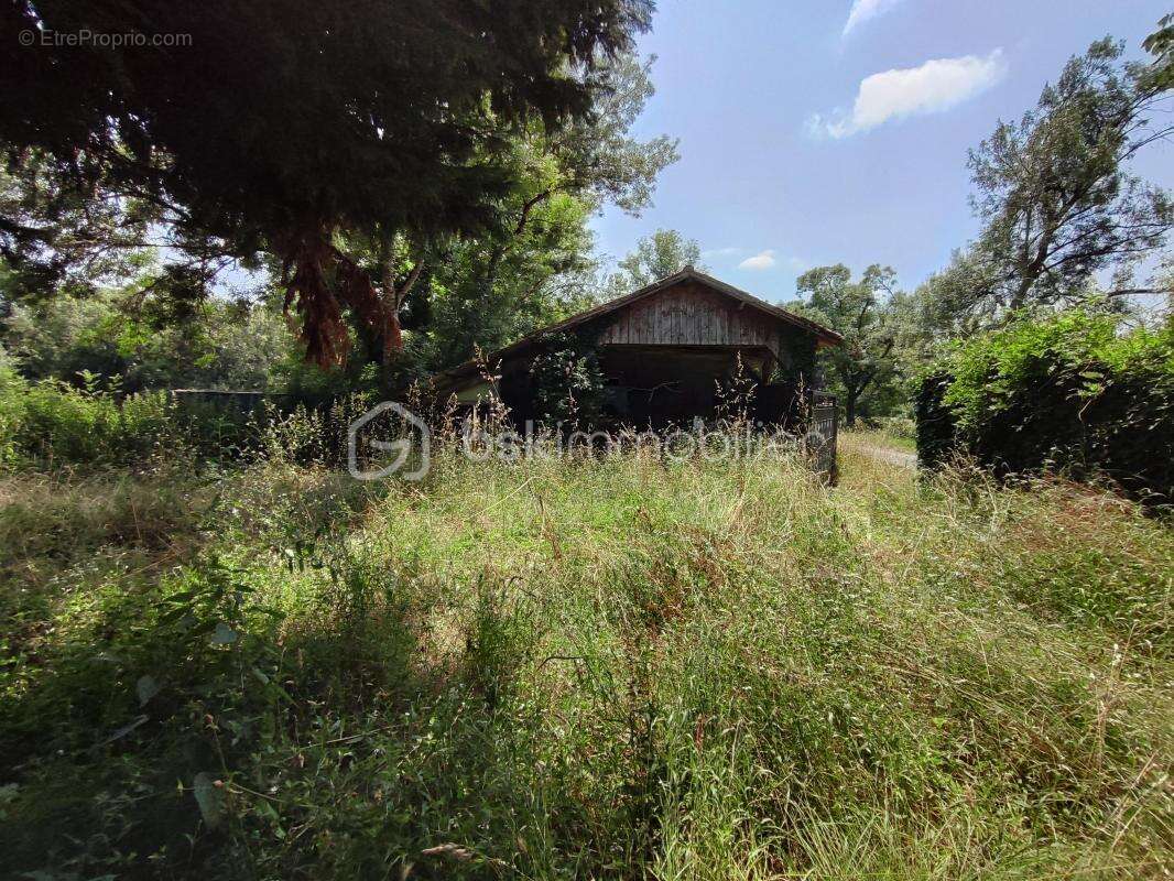 Maison 287 m² à Peyrecave  - photo 28