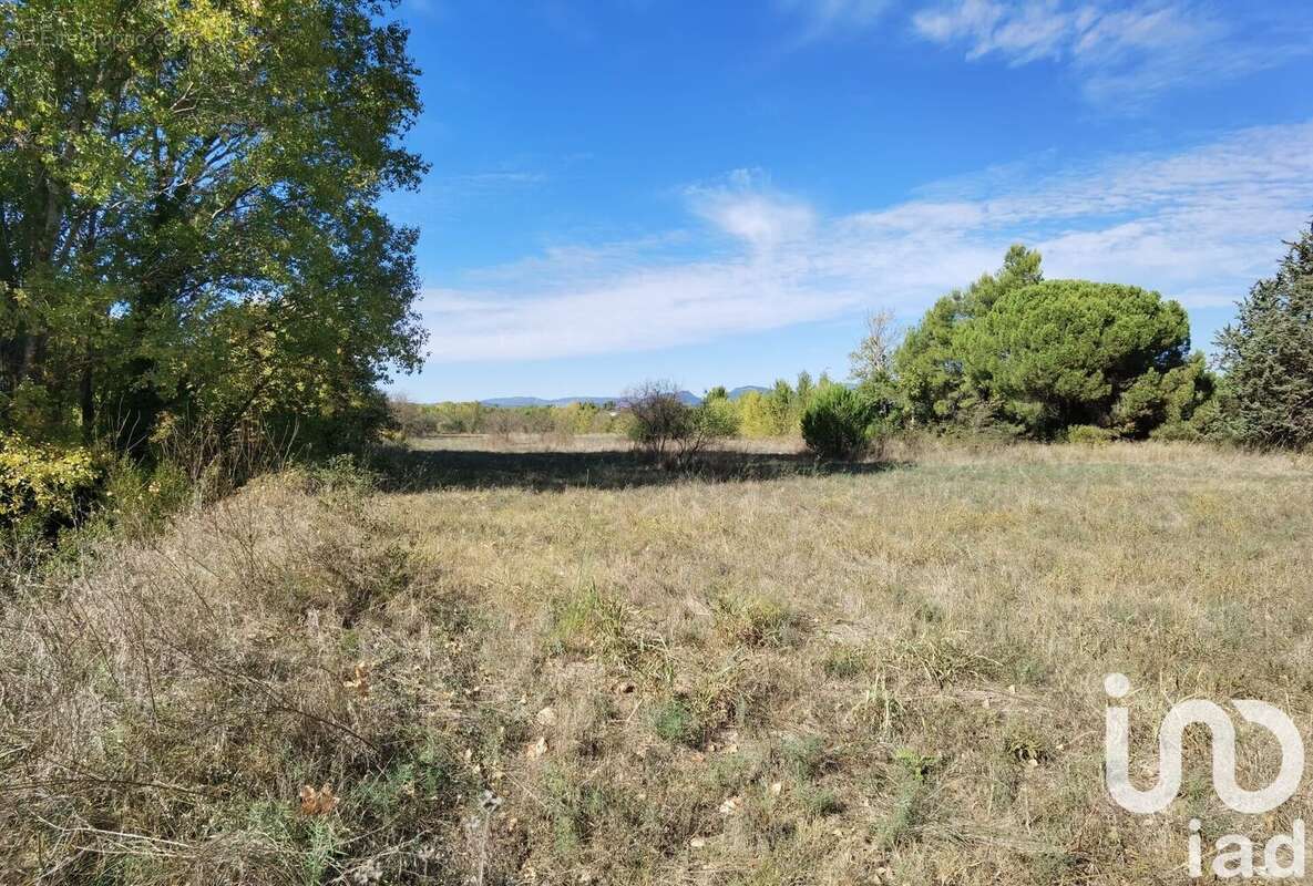 Photo 9 - Maison à SAINT-ANDRE-DE-SANGONIS