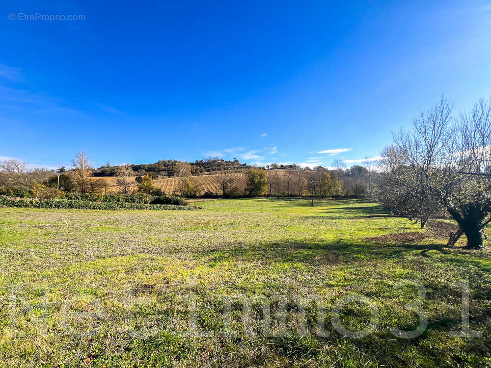 Terrain à PUYLAURENS