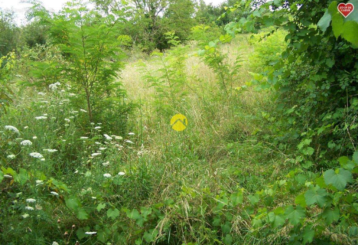 Terrain à BOURGES