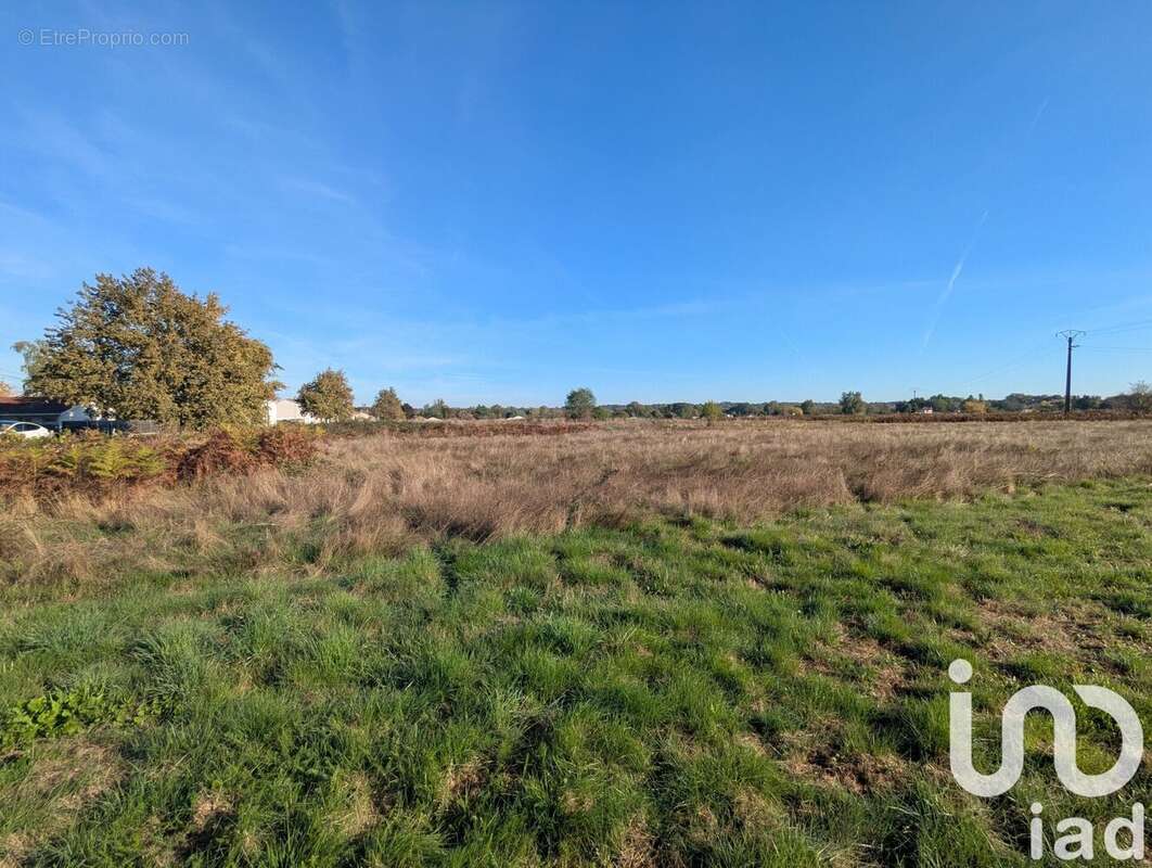 Photo 3 - Terrain à SAINT-SEURIN-SUR-L&#039;ISLE