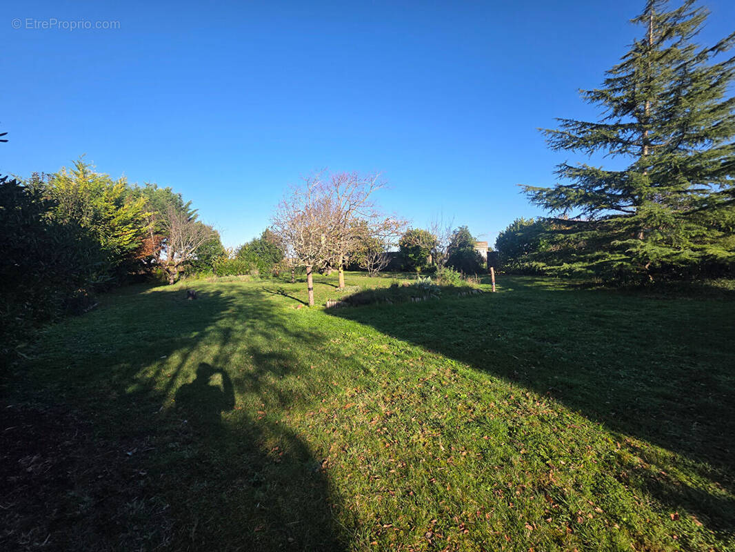 Terrain à SAINT-LAURENT-DE-LA-PREE