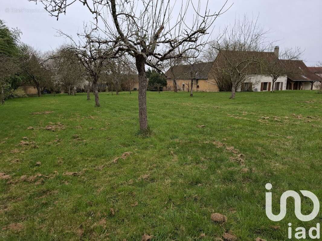 Photo 9 - Maison à DOMFRONT-EN-CHAMPAGNE