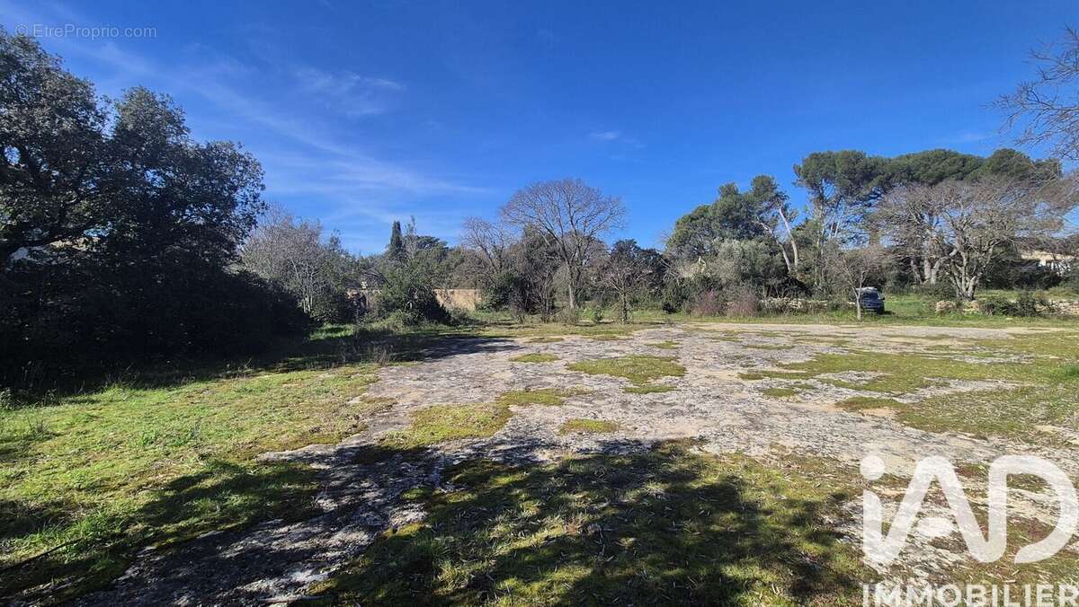 Photo 4 - Terrain à VERS-PONT-DU-GARD