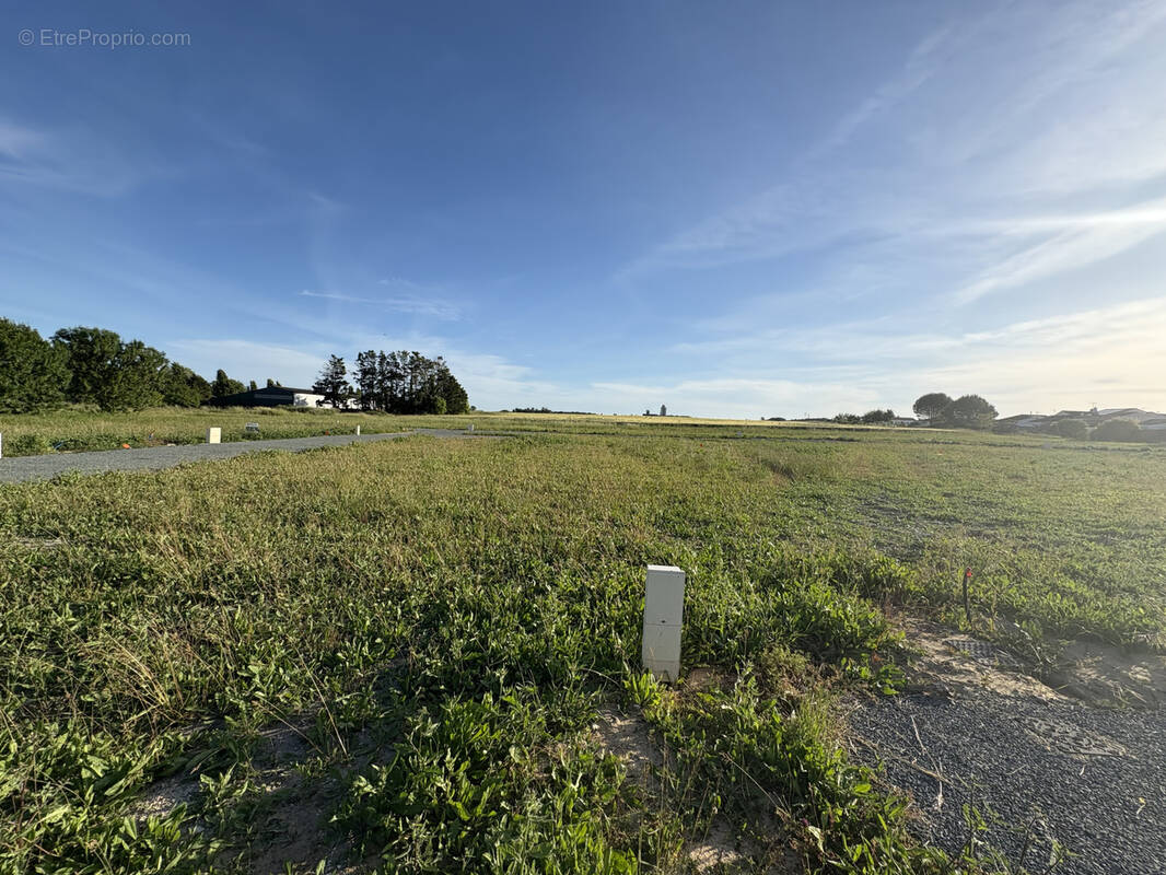 Terrain à MORNAC-SUR-SEUDRE