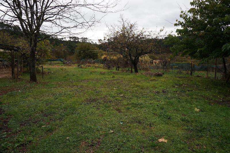 Maison à CHATEAUVERT