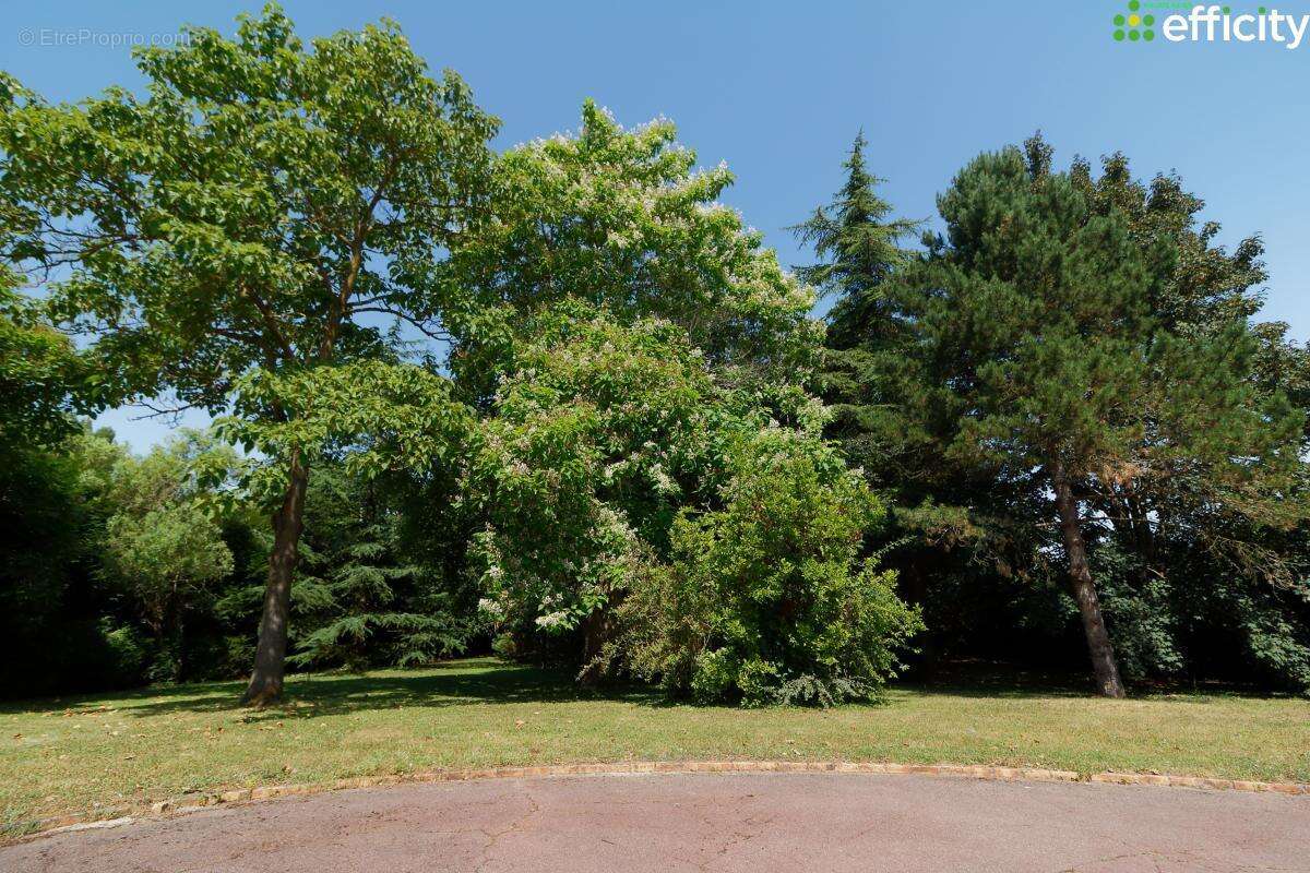 Maison 275 m² à Chaumontel  - photo 23
