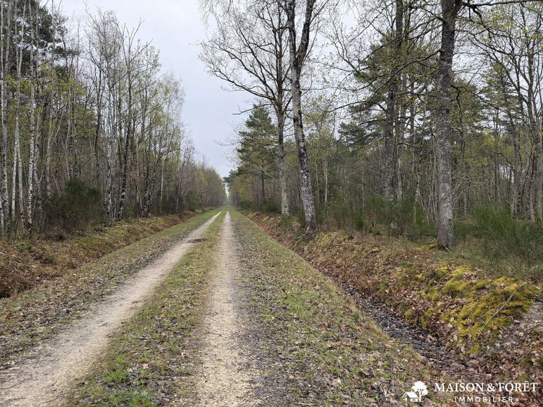 Maison à ROMORANTIN-LANTHENAY