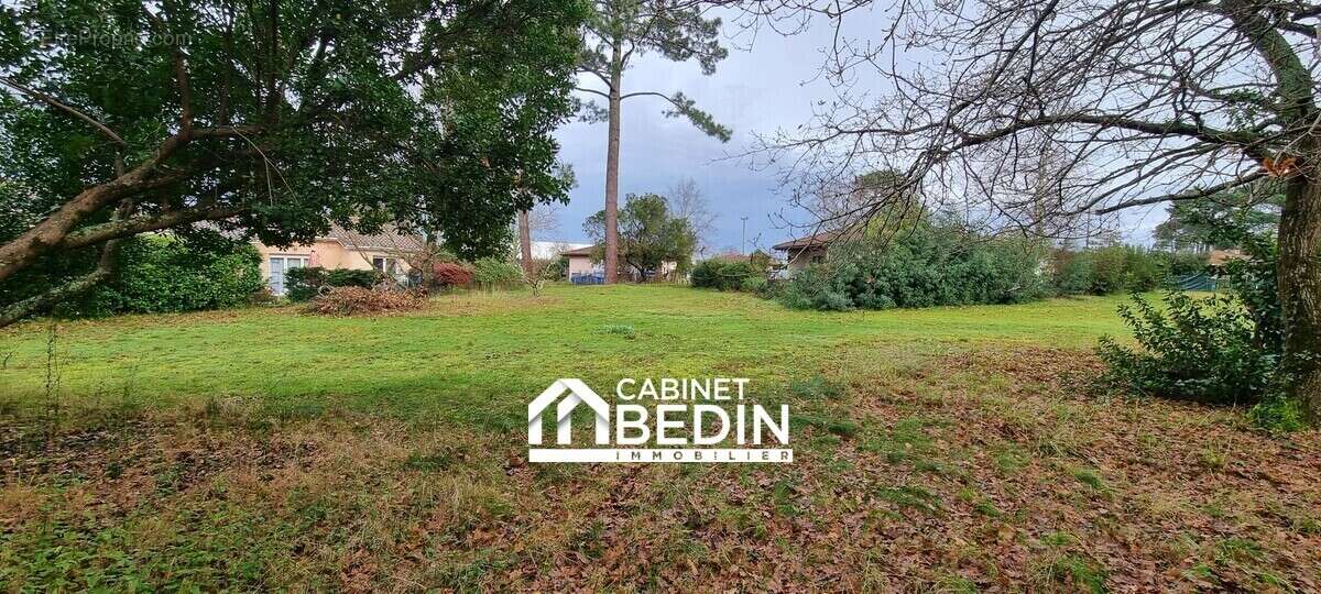Terrain à BISCARROSSE