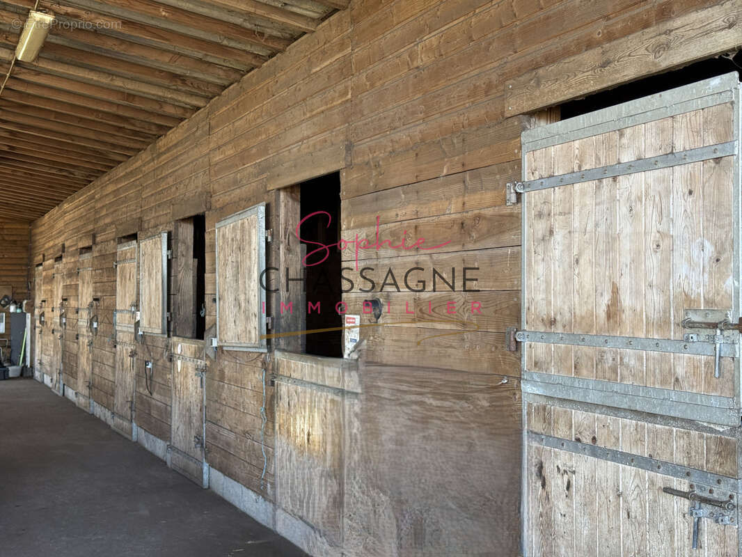 À 20 minutes de Lacanau, sur plus de 10 hectares, écurie de propriétaires avec maison de 80 m2 et installation - photo 7