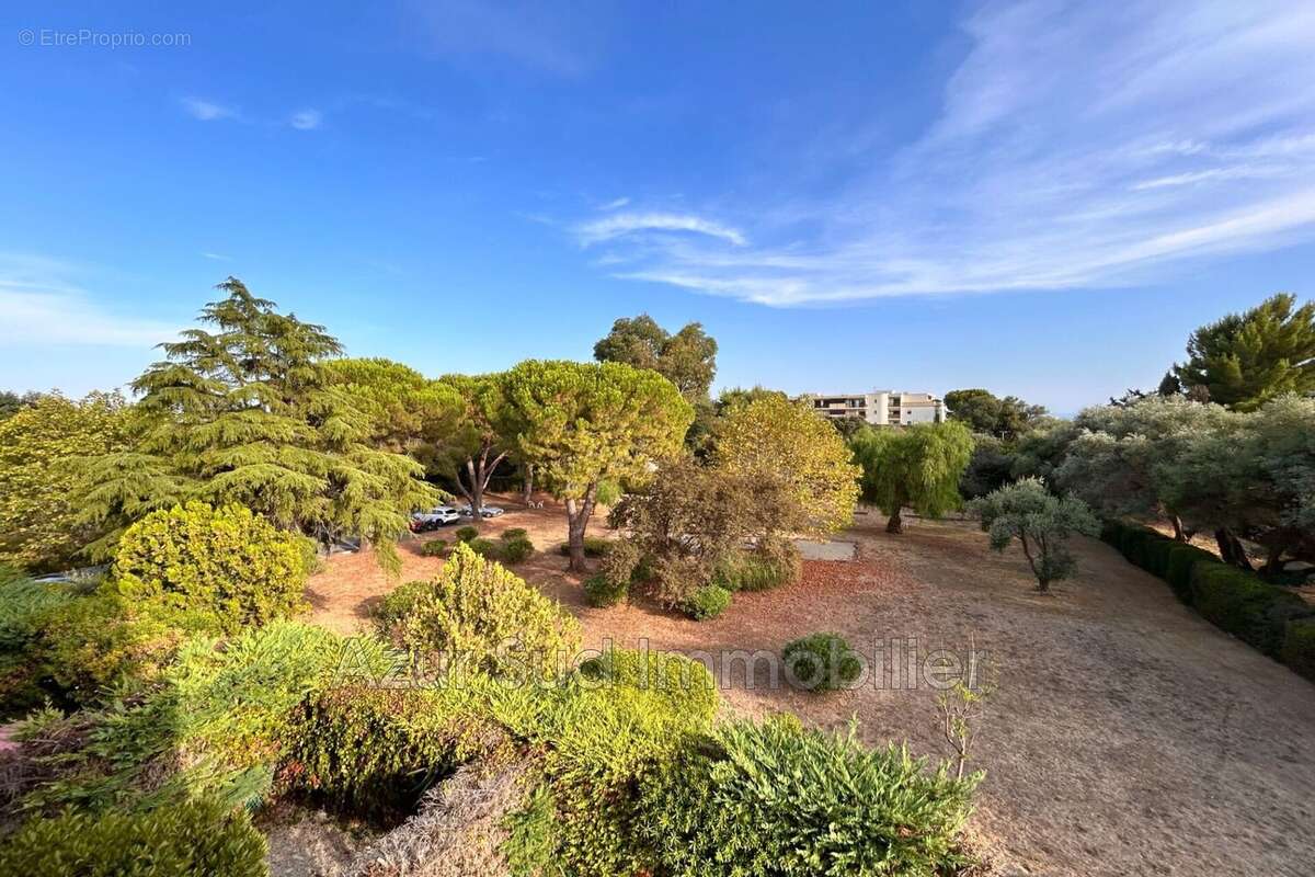 Appartement 49 m² à Antibes  - photo 8