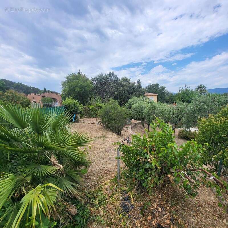 Terrain à PIERREFEU-DU-VAR
