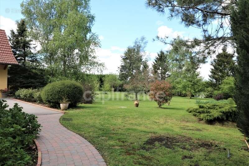Dpt Saône et Loire (71), à vendre à 15 mn de St Marcel Villa de 163 m² et Maison ou Gite de 95 m² terrain de 4000 m² - photo 21