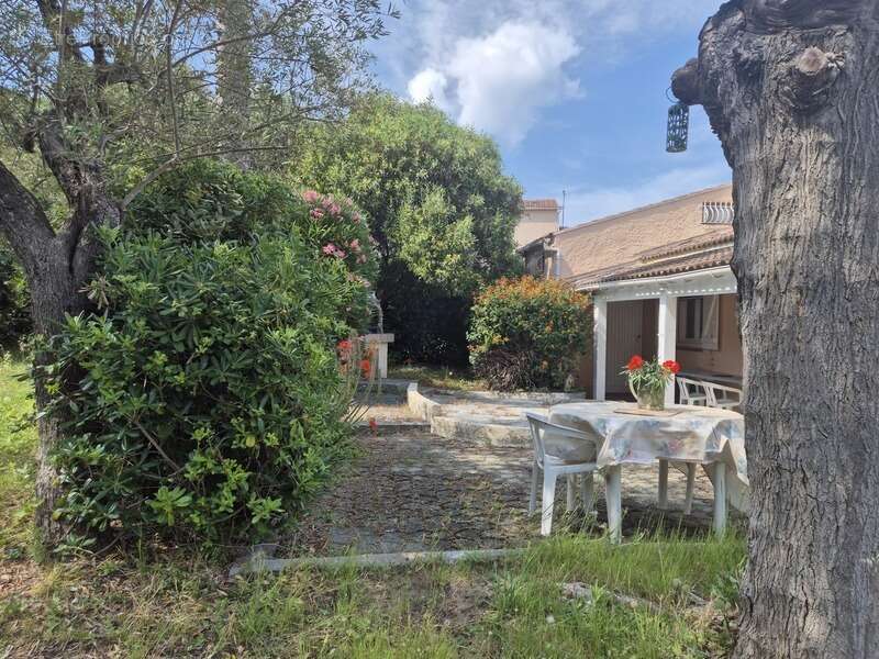 Linguizzetta – charmante maison  5 pieces avec jardin fleuri à quelques minutes de la mer - photo 5