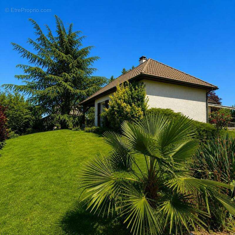 Pavillon plain pied 4p 3 chambres avec sous-sol total À Vendre - photo 14