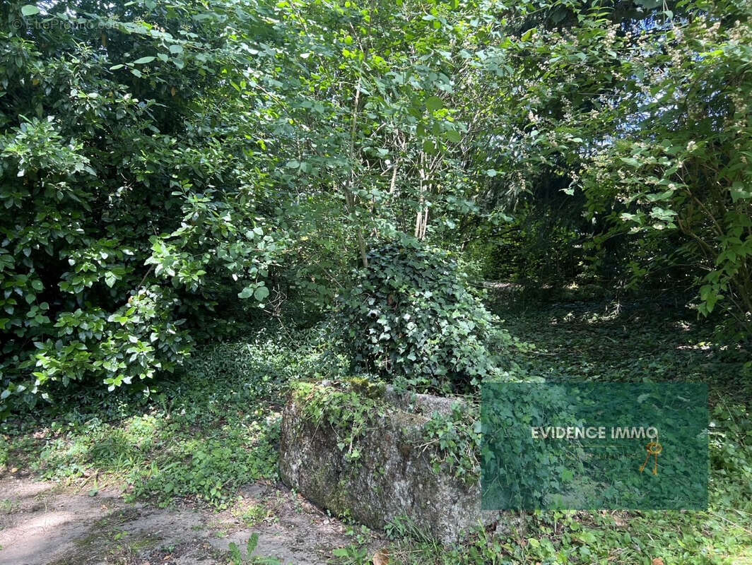 Maison à VIRIEU