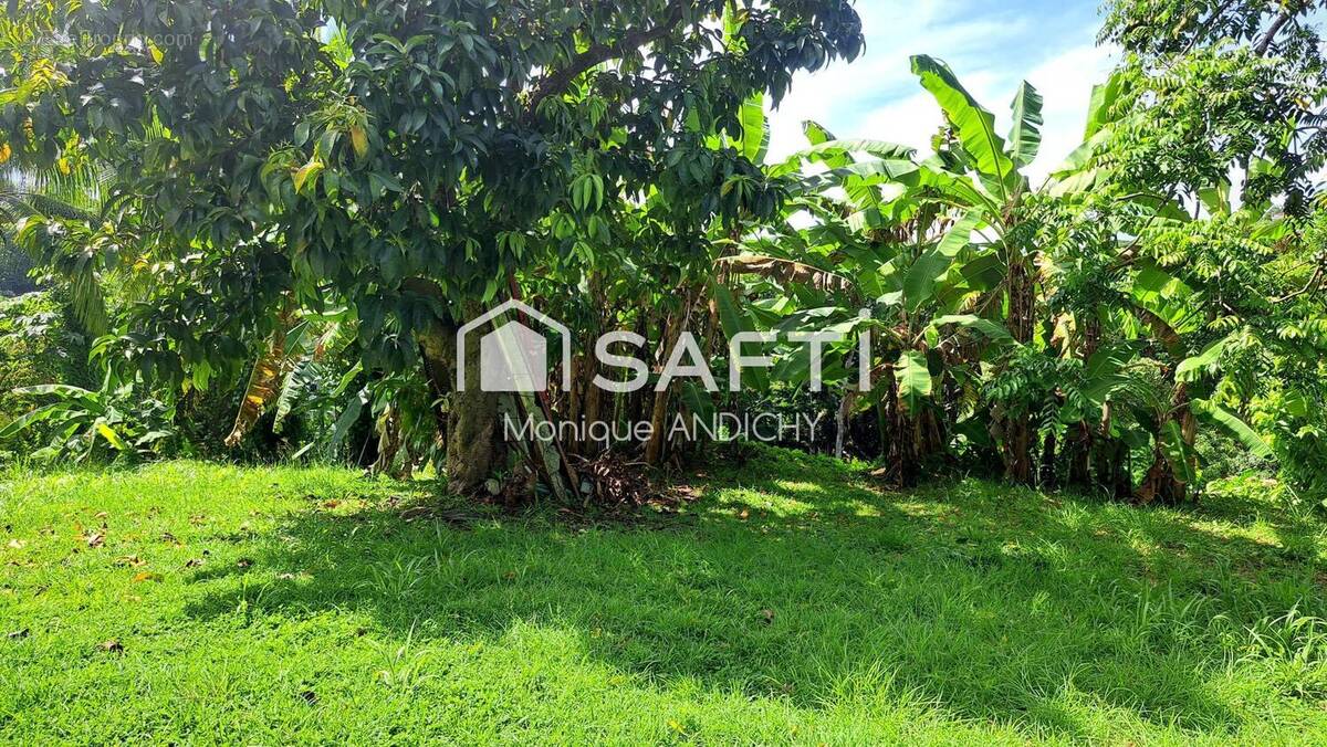 Photo 1 - Terrain à LE FRANCOIS