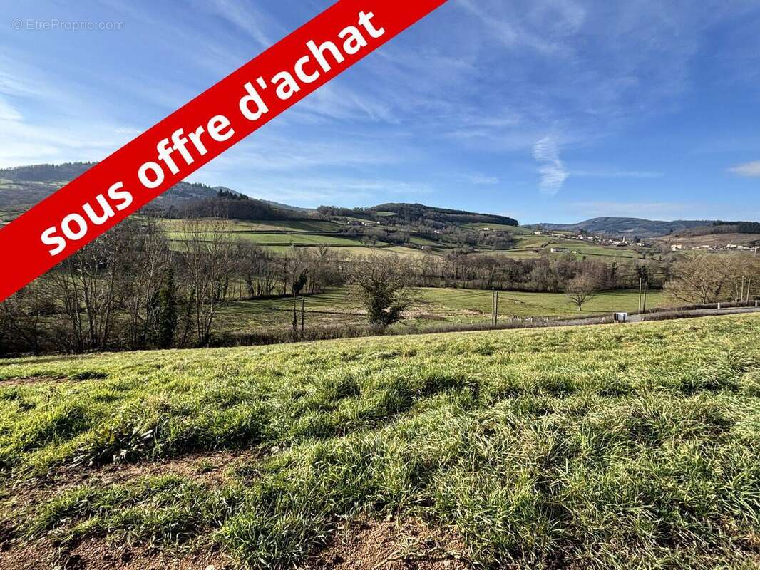 Terrain à LES ARDILLATS