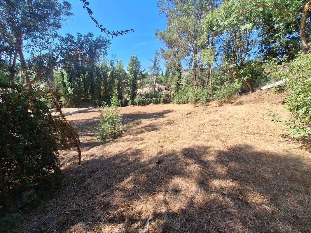 Terrain à SAINT-PAUL