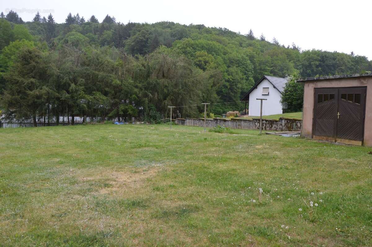 Appartement à MEISENTHAL