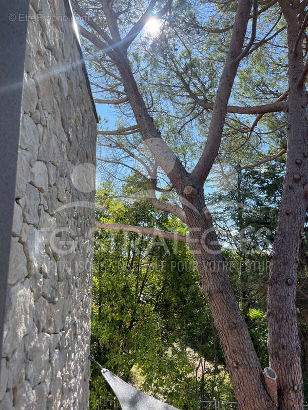 Maison à MONTPELLIER