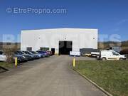 Photo 06-03-2025 11 06 52 - Commerce à MOULINS-SAINT-HUBERT