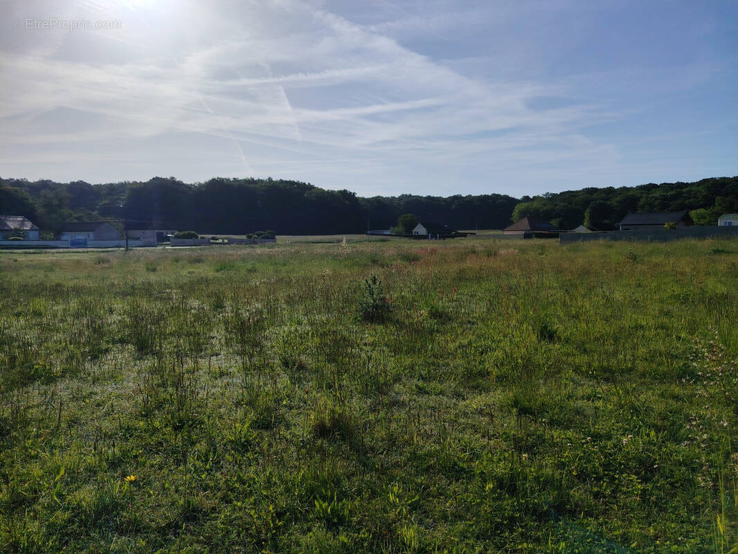 Terrain à PONT-SUR-YONNE