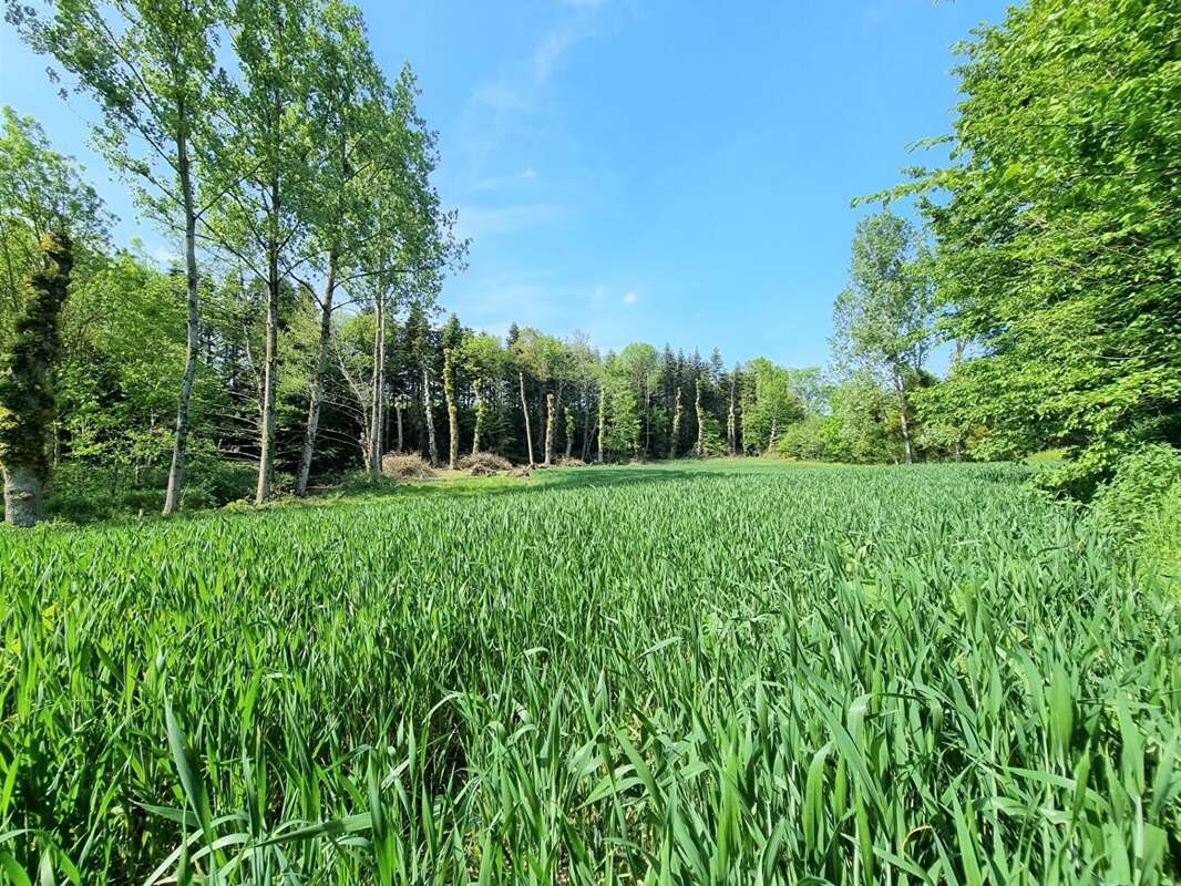 Maison à SAINT-GONLAY